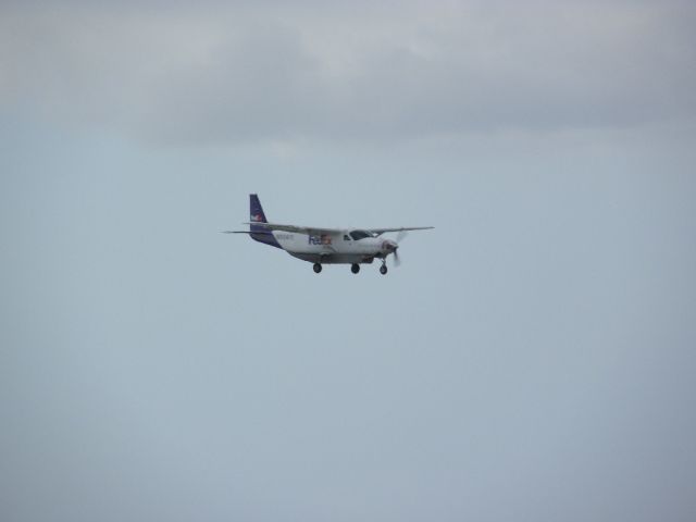 — — - FedEx Express landing at PHNL