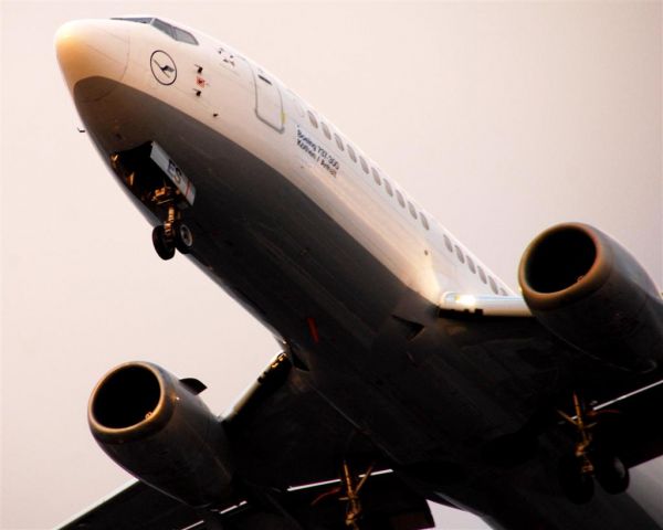 BOEING 737-300 (D-ABES) - Arrival at Berlin sky