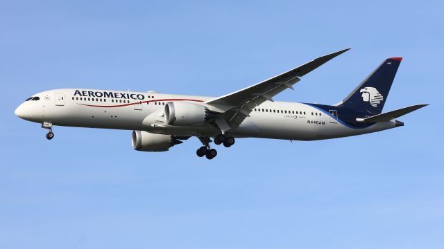 Boeing 787-9 Dreamliner (N446AM)