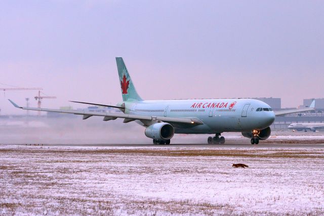 Airbus A330-300 (C-GFAH) - take-off RWY18, date 03-01-2010, please note the fox beside the runway