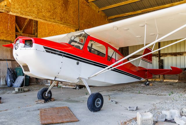 CHAMPION Sky-Trac (N1029E)