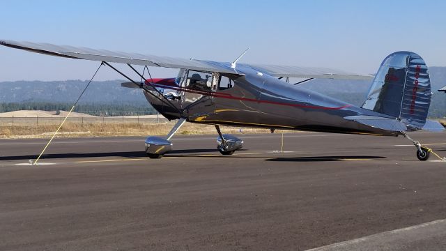 Cessna 140 (N90025) - Polished to perfection
