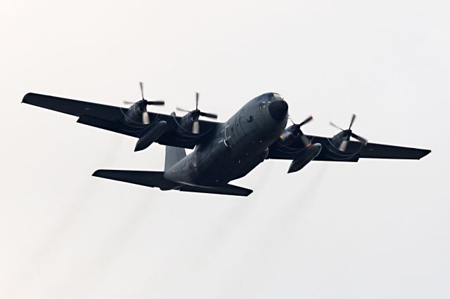 Lockheed C-130 Hercules (FAF5119) - FLYING AS "OPEN SKIES"