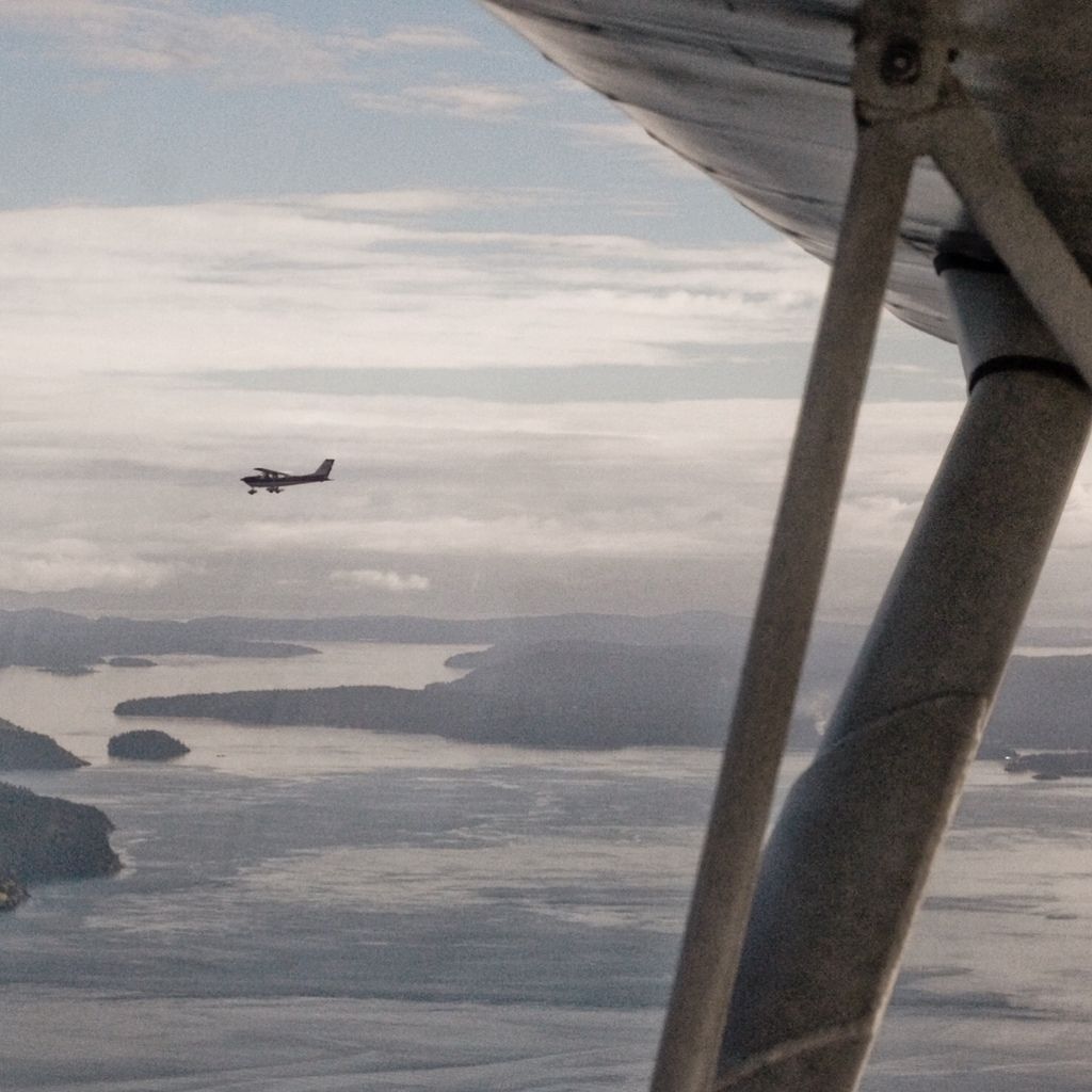 Cessna 140 (C-FISX)