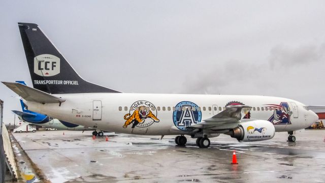 BOEING 737-300 (C-GCNO) - The remaining four logos of the CFL teams