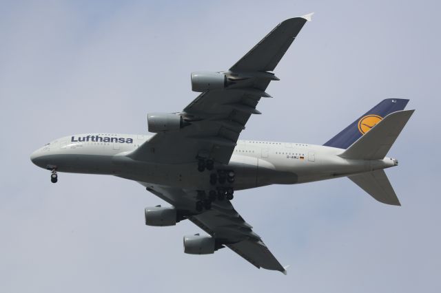 Airbus A380-800 (D-AIMJ)