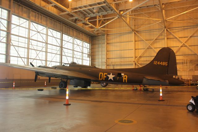 Boeing B-17 Flying Fortress (N3703G) - At DIA for some maintenance