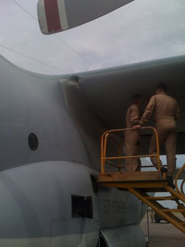 Lockheed C-130 Hercules — - Bird Strike... Look at the leading edge of the wing