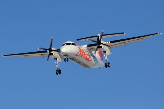 de Havilland Dash 8-100 (C-GONR)