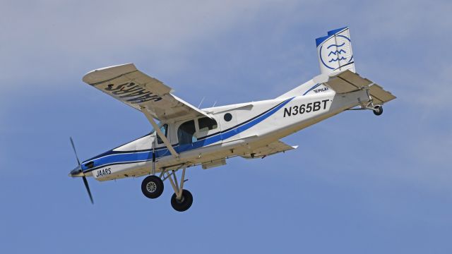 Pilatus PC-6B Turbo-Porter (N365BT) - AirVenture 2023