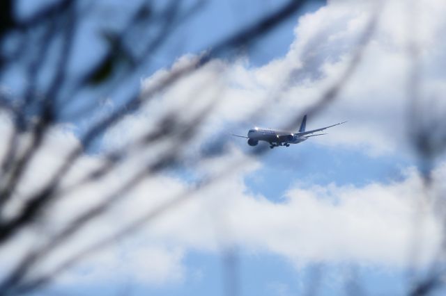 BOEING 787-10 Dreamliner (N12010)