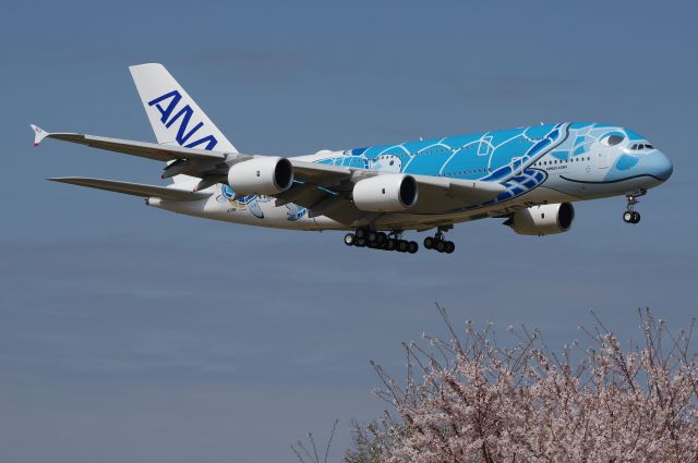 Airbus A380-800 (JA381A)