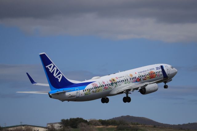 Boeing 737-800 (JA85AN) - May 11th 2019:HKD-ITM.