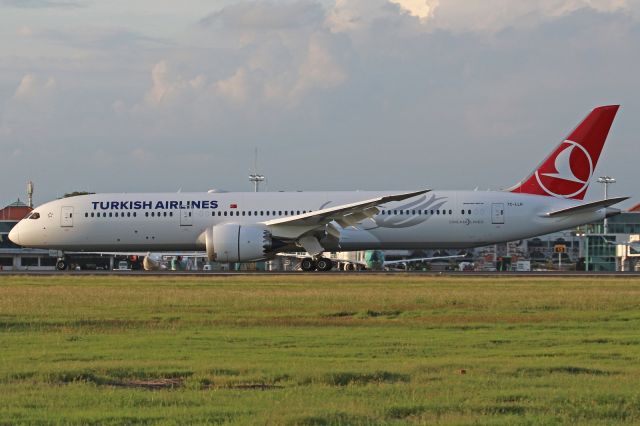 Boeing 787-8 (TC-LLH)