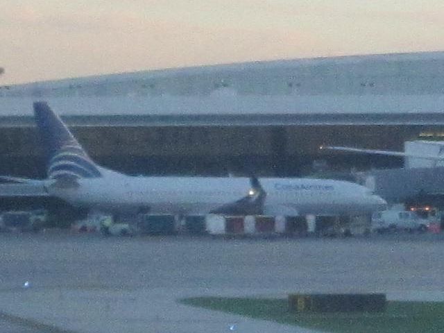 Boeing 737-800 — - A Copa Airlines 737-800. This plane was next to an Air India Boeing 777.