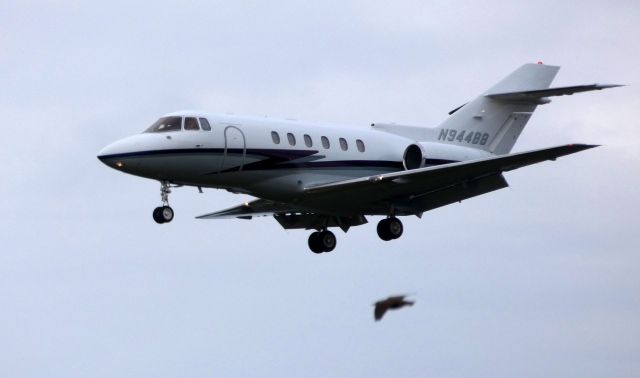 Hawker 800 (N944BB) - On final is this 2003 Raytheon Hawker 800XP in the Autumn of 2019.