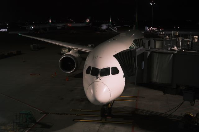 BOEING 787-10 Dreamliner (B-17802)