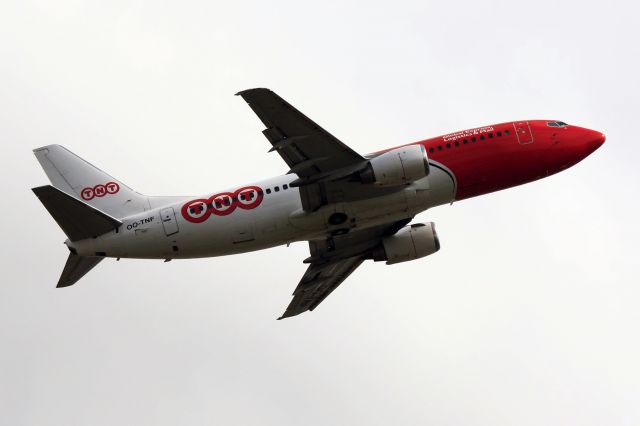BOEING 737-300 (OO-TNF) - QC-converted