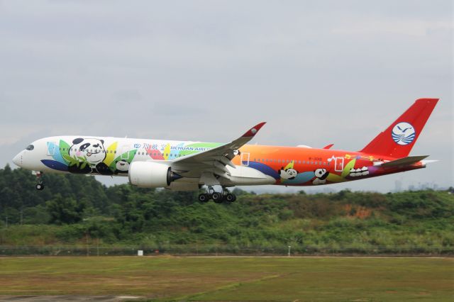 Airbus A350-900 (B-301D) - Panda livery!!!br /The weather was awful as usual.br /TIPS: Select full-size and wait for a while for better view.