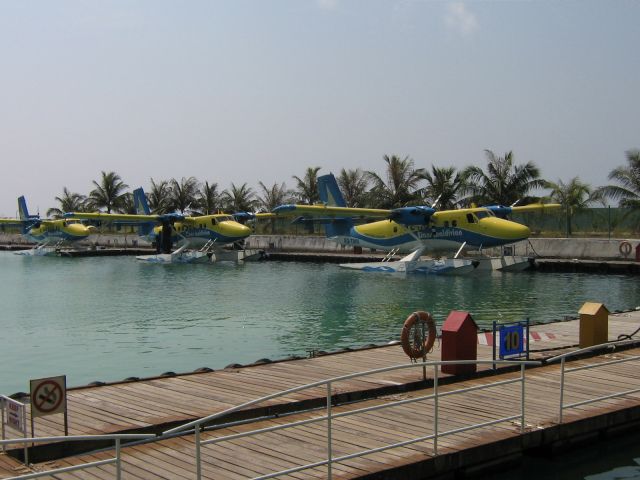 De Havilland Canada Twin Otter (8Q-TMN) - in Warteschlange für Abflug zu den Inseln -