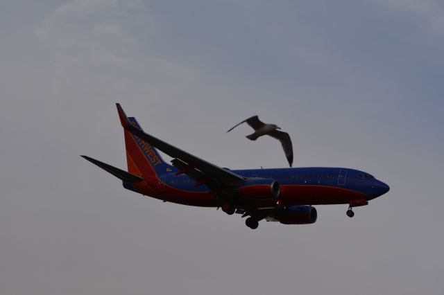 Boeing 737-700 (N903WN)