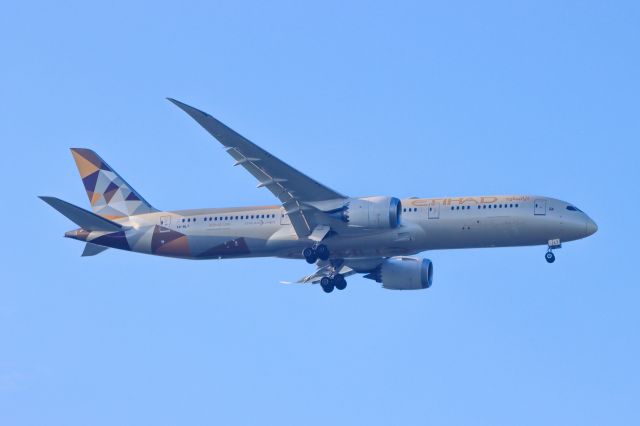 Boeing 787-9 Dreamliner (A6-BLT)