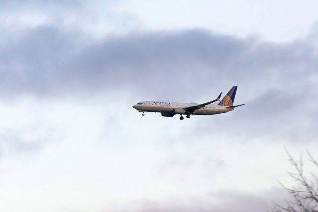 Boeing 737-800 (N79541)