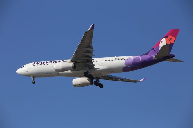 Airbus A330-200 (N393HA)