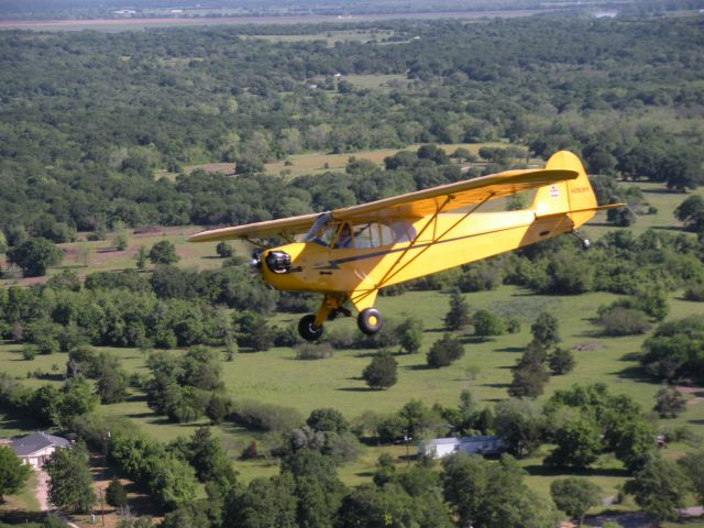 Piper NE Cub (N28084)