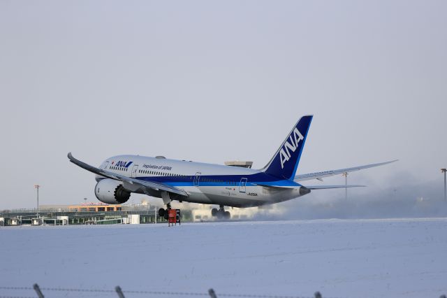 Boeing 787-8 (JA808A) - December 27th 2020:HKD-HND.