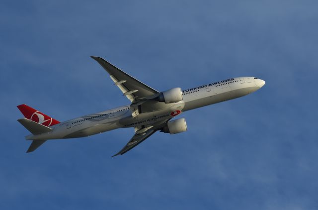 Boeing 777 (TC-JJT) - Turkish 77W taking off into the Pacific sun