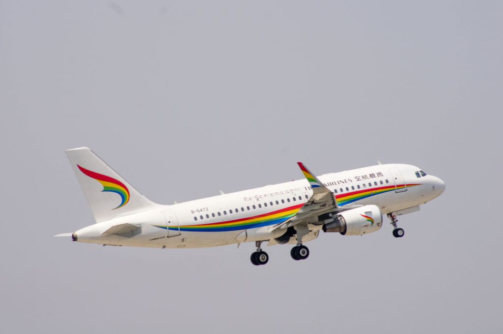 Airbus A319 (B-6473)