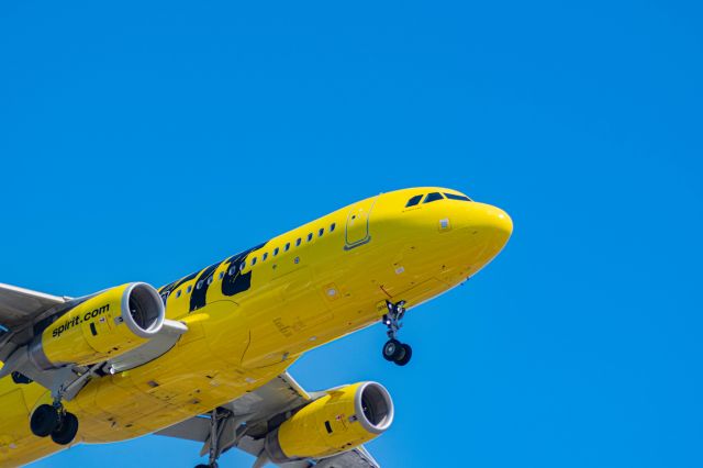 Airbus A320 (N655NK) - Spirit A320 landing at KLAX runways 24R