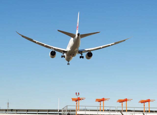 Boeing 787-8 (JA823J) - Arriving at San Diego from Tokyo