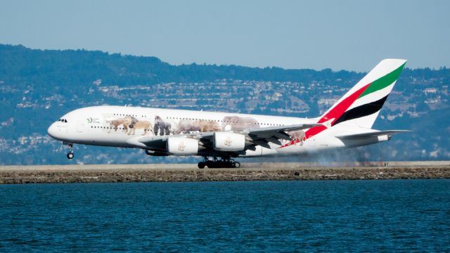 Airbus A380-800 (A6-EQM)