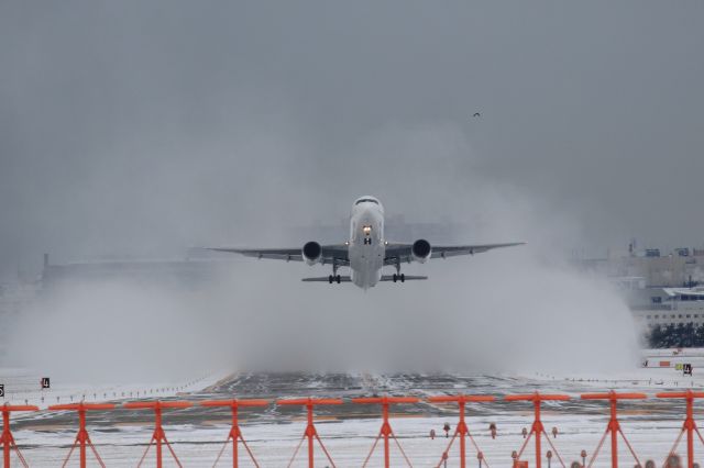 BOEING 767-300 (JA610J) - December 26th 2021:HKD-HND.