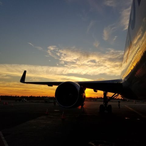 BOEING 767-300 (D-ABUC) - Autumn Sunset