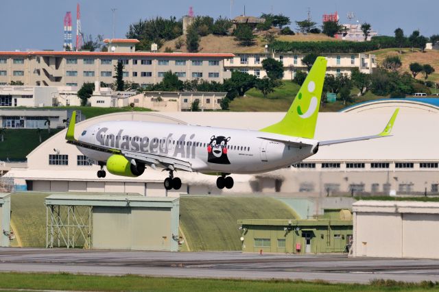 Boeing 737-800 (JA802X) - 2013/10/19