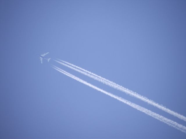 BOEING 747-8 — - please tell me what airline this is.PLEASE!