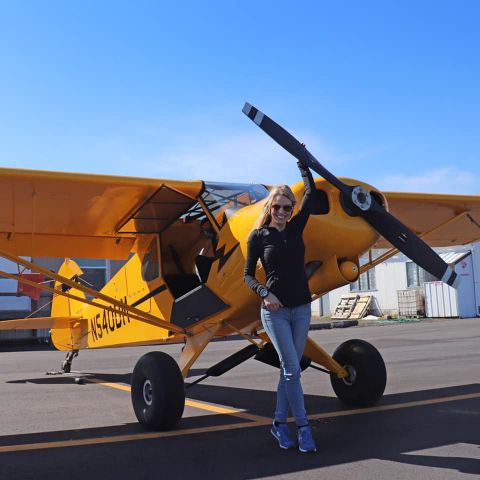 Piper L-21 Super Cub (N540DM)