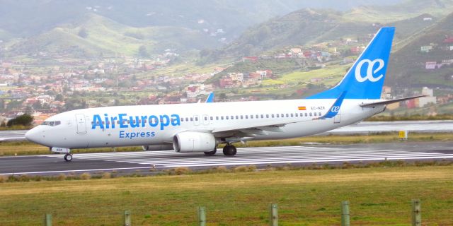 Boeing 737-800 (EC-NZR)