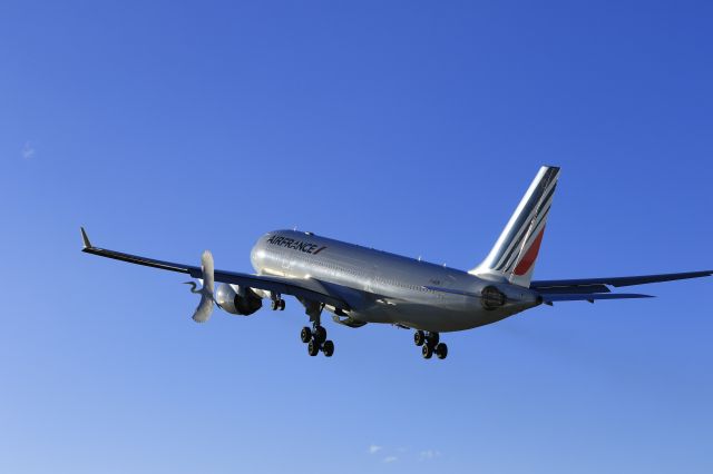 Airbus A330-200 (F-GZCN) - Air France F-GZCN departing St Maarten with some local wild life also inflight.