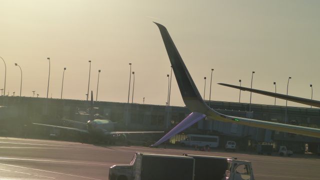 Boeing 737-900 — - Love the new winglets.