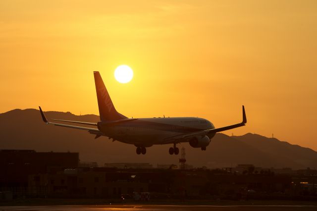 Boeing 737-800 (JA76AN)