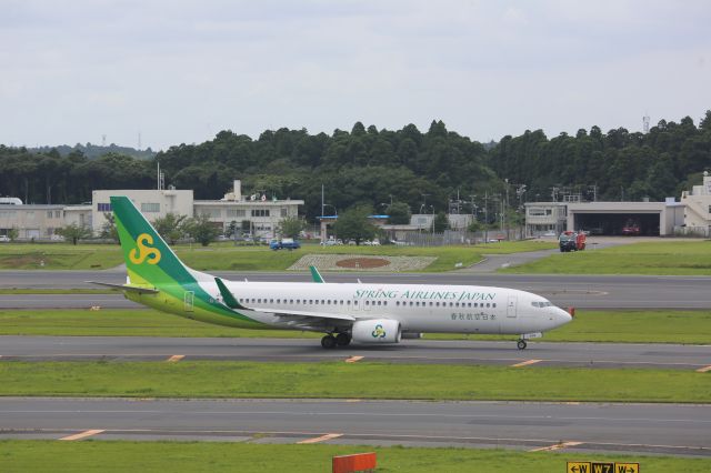 Boeing 737-800 (JA03GR)