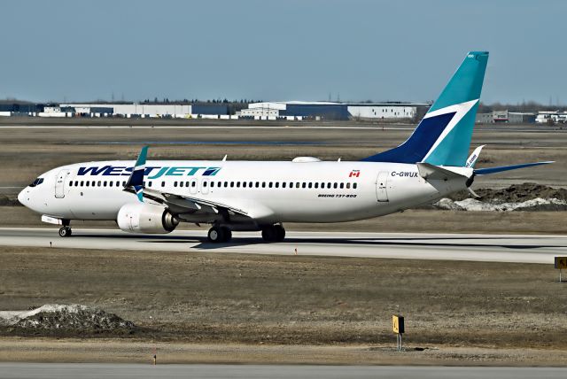 Boeing 737-800 (C-GWUX)