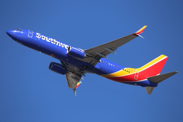 Boeing 737-800 (N8315C)