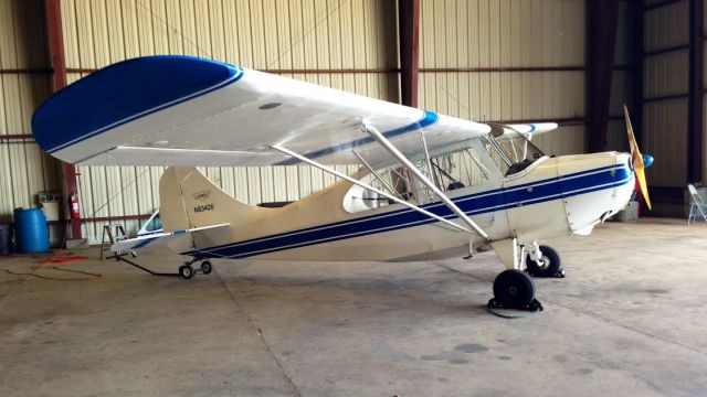 N83406 — - Texarkana Flying Club - Champ 7AC