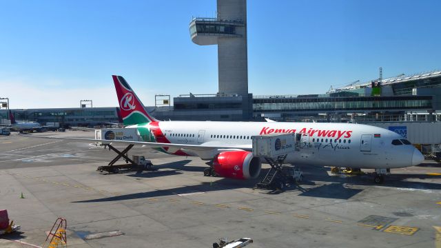 Boeing 787-8 (5Y-KZJ) - ACT Kenya Airways Boeing 787-8 Dreamliner 5Y-KZJ in New York JFK