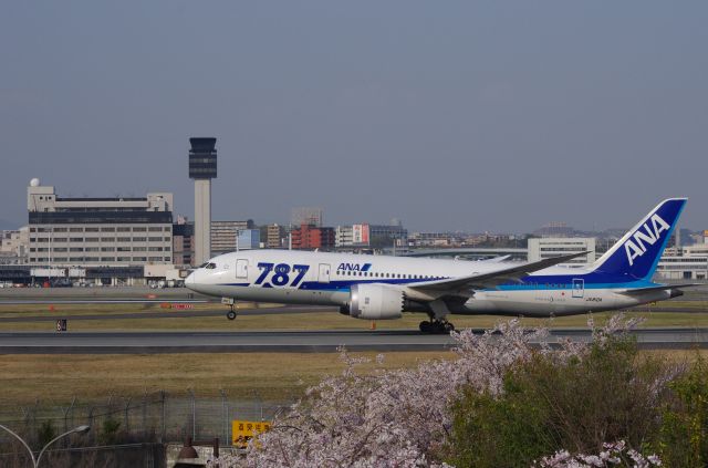 Boeing 787-8 (JA810A) - Sakura of Itami Airport